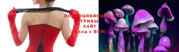 бошки Дмитриев
