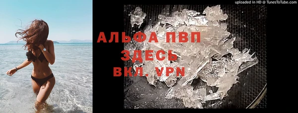 бошки Дмитриев