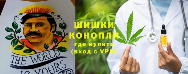 бошки Дмитриев